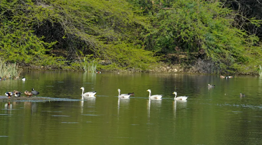 Sultanpur National Park